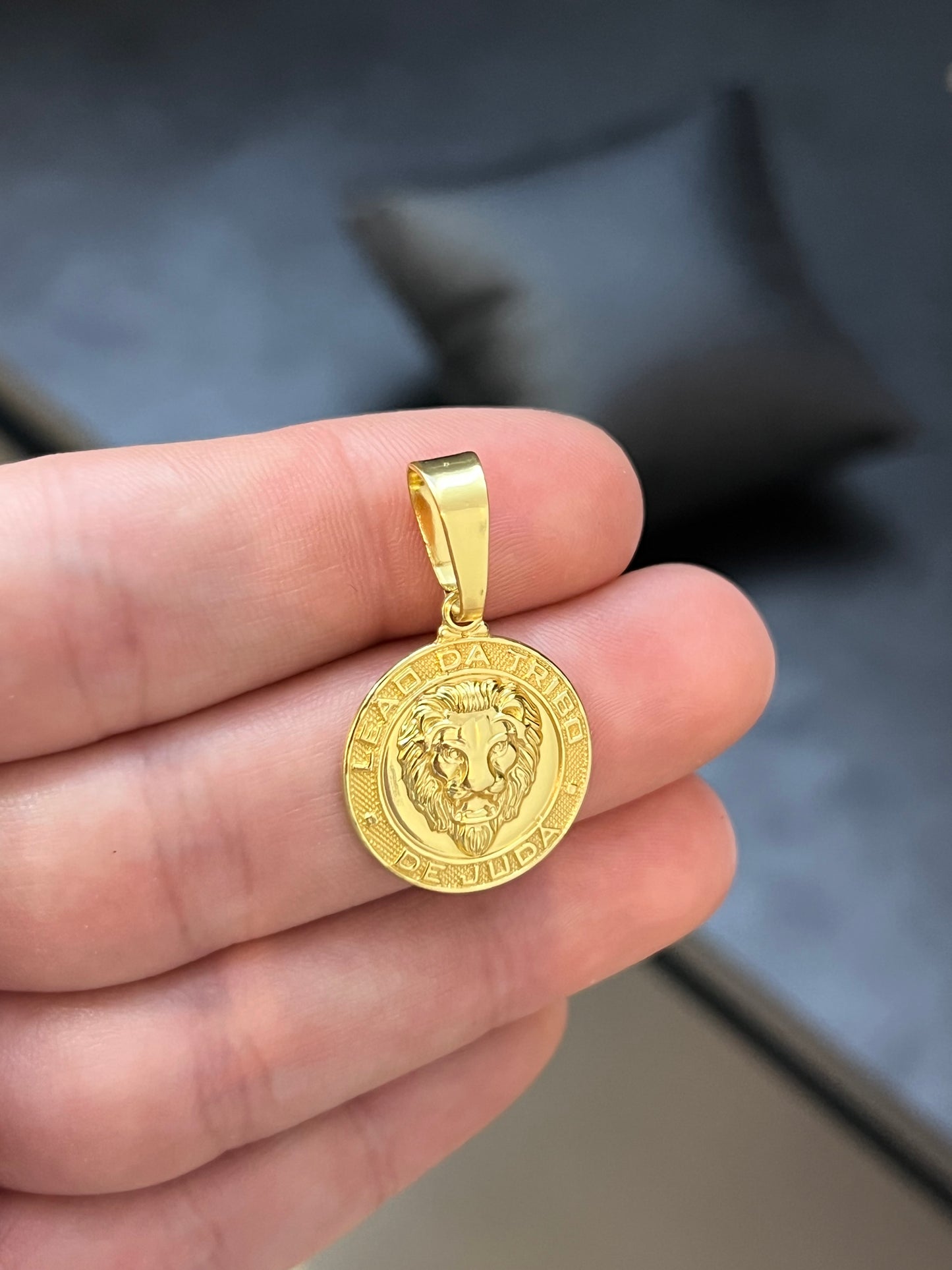 Pingente Medalha Leão Judá P (2x2cm) Banhado a Ouro 18K
